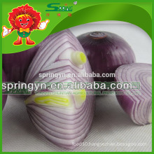 Organic cultivated red onion mesh bags